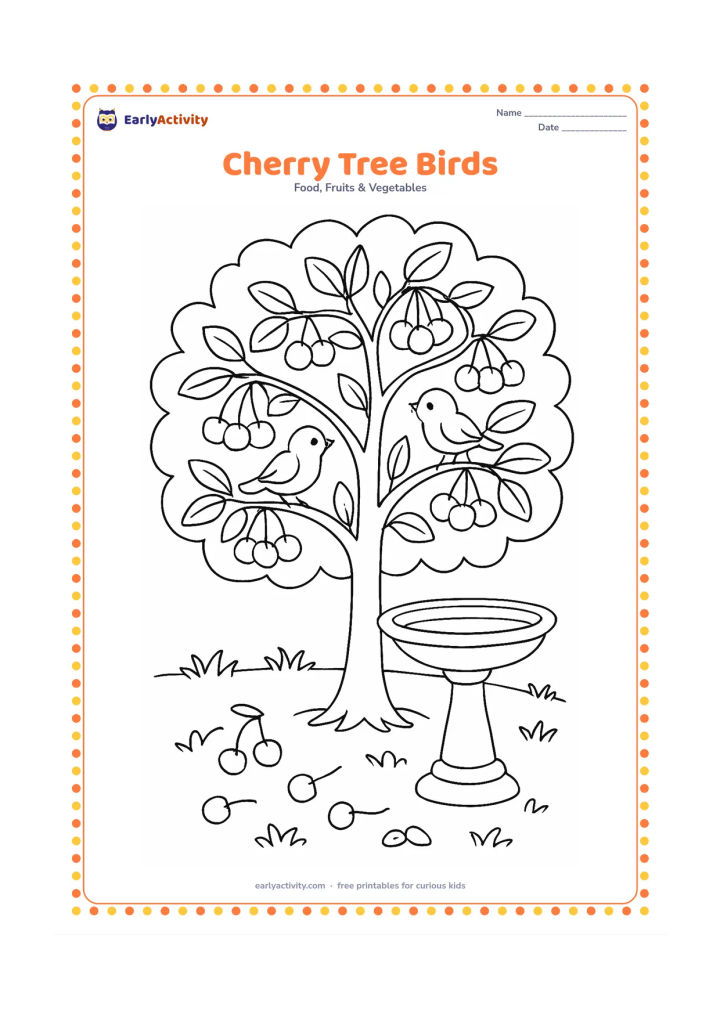 Colouring page: Draw a mature cherry tree with several fruit clusters, two small birds on branches, a birdbath, grass and scattered fallen cherries.