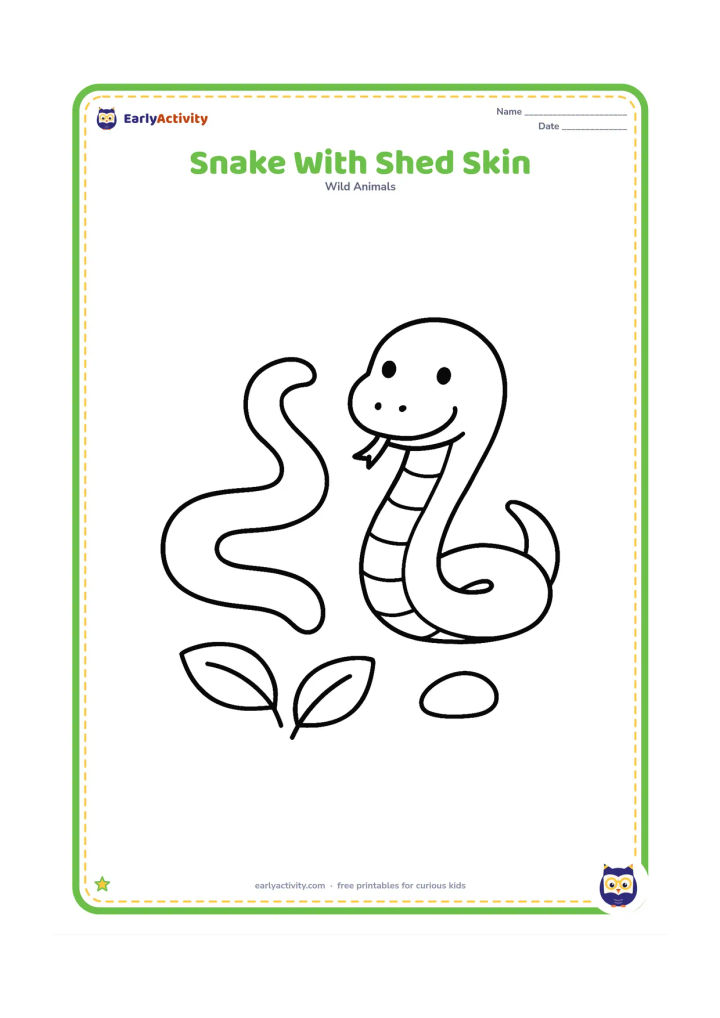 Colouring page: Draw a snake beside a loose, simple outline of its old shed skin on the ground, with two leaves and one pebble nearby. The snake should be clearly separate from the shed skin.