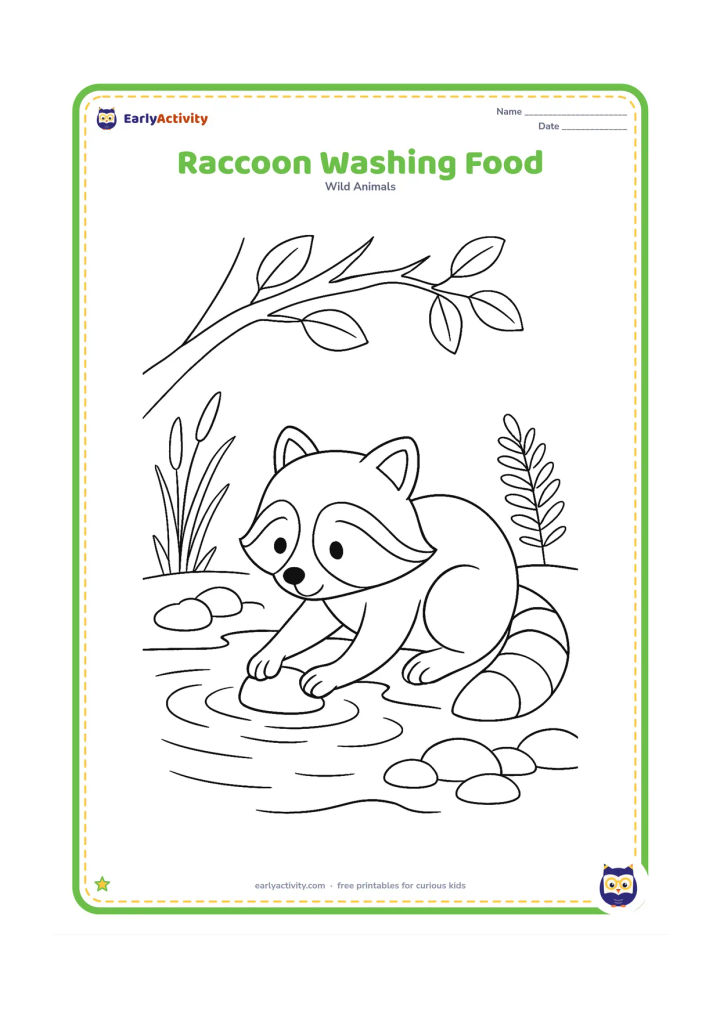 Colouring page: Draw a raccoon crouching beside a shallow stream while dipping a round piece of fruit into the water with both front paws. Add smooth stones, reeds, a fern and a tree branch overhead.