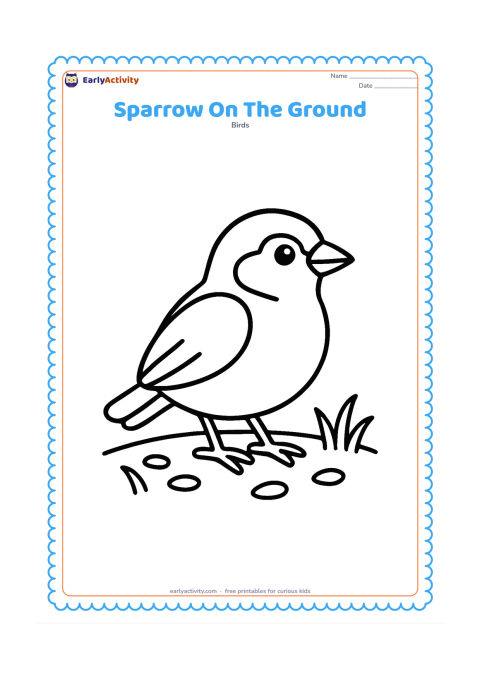 Colouring page: Draw one large house sparrow standing on a patch of ground, with a few big scattered seeds and two simple grass tufts. Center the bird with plenty of open space around it.