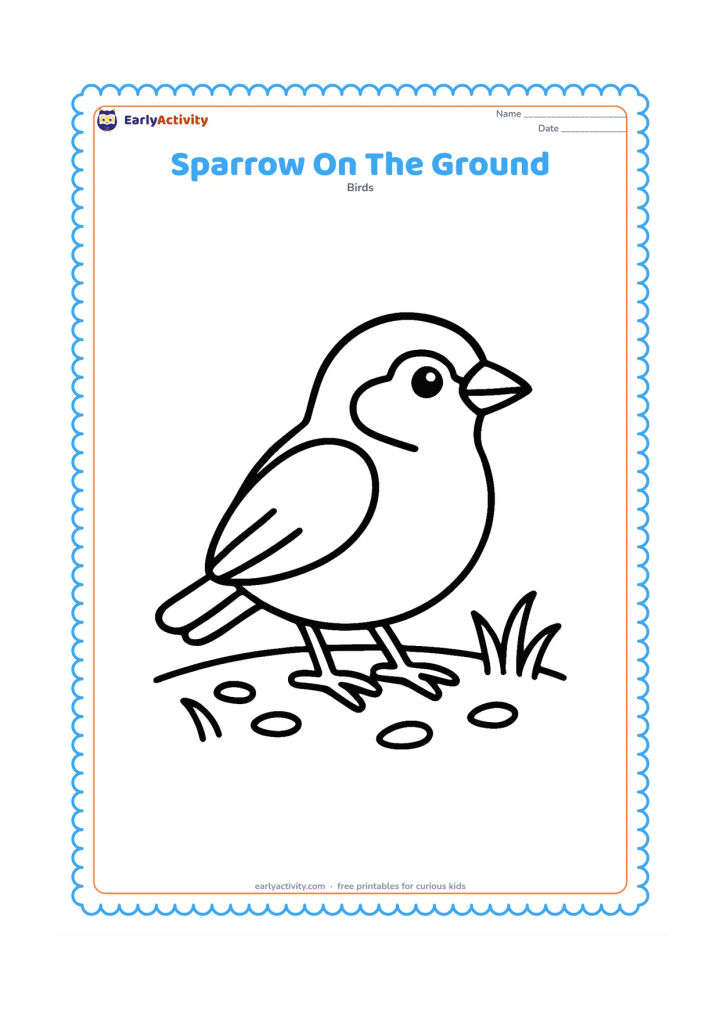 Colouring page: Draw one large house sparrow standing on a patch of ground, with a few big scattered seeds and two simple grass tufts. Center the bird with plenty of open space around it.
