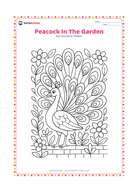 Colouring page: Draw a peacock turning its head while displaying a broad fan of tail feathers, surrounded by flowers, leaves and a low garden wall.