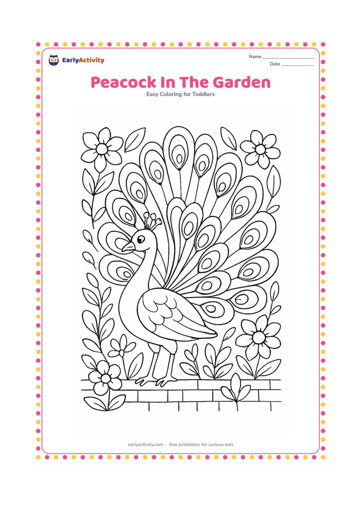 Colouring page: Draw a peacock turning its head while displaying a broad fan of tail feathers, surrounded by flowers, leaves and a low garden wall.