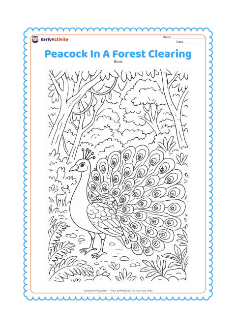 Colouring page: A peacock stands in a detailed forest clearing with layered trees, vines, ferns, stones, and a small deer watching from a distance. Show individual train feathers with varied eye-like marks.