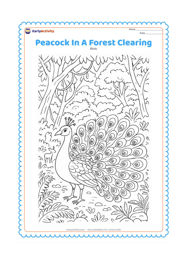 Colouring page: A peacock stands in a detailed forest clearing with layered trees, vines, ferns, stones, and a small deer watching from a distance. Show individual train feathers with varied eye-like marks.