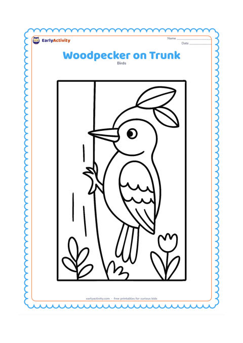 Colouring page: A friendly woodpecker clings upright to a wide tree trunk, with its pointed beak, patterned wing and stiff tail clearly visible. Include a few large leaves and simple ground plants…