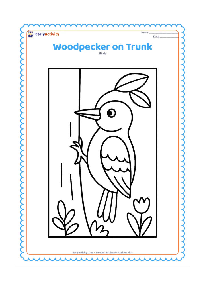 Colouring page: A friendly woodpecker clings upright to a wide tree trunk, with its pointed beak, patterned wing and stiff tail clearly visible. Include a few large leaves and simple ground plants…