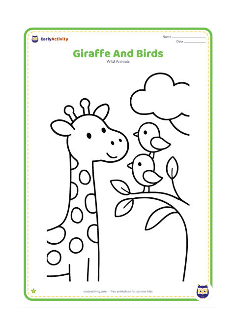 Colouring page: A giraffe looks upward while two small friendly birds perch on a nearby branch. Include a simple tree, a few leaves and open sky.