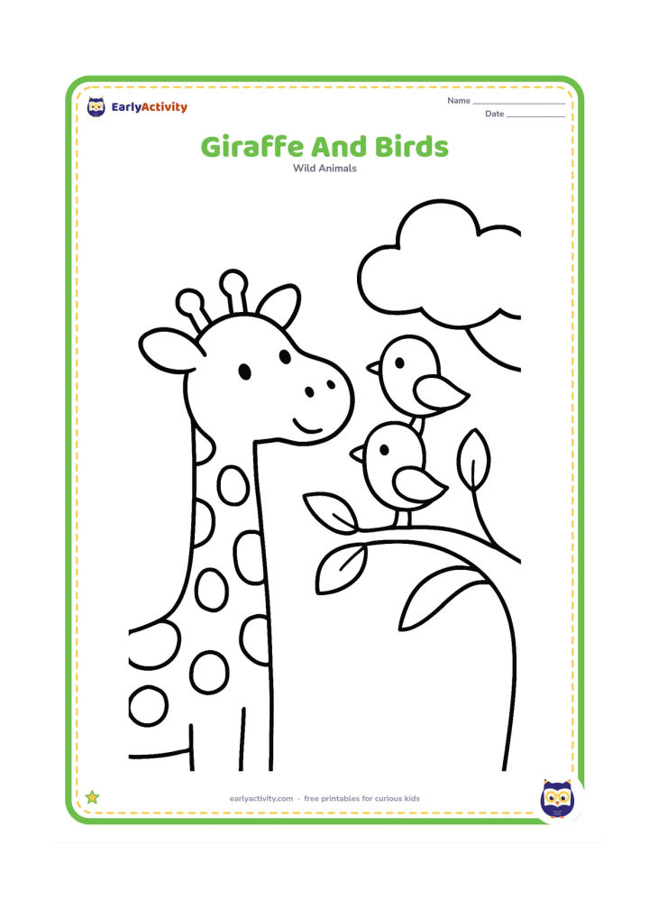 Colouring page: A giraffe looks upward while two small friendly birds perch on a nearby branch. Include a simple tree, a few leaves and open sky.
