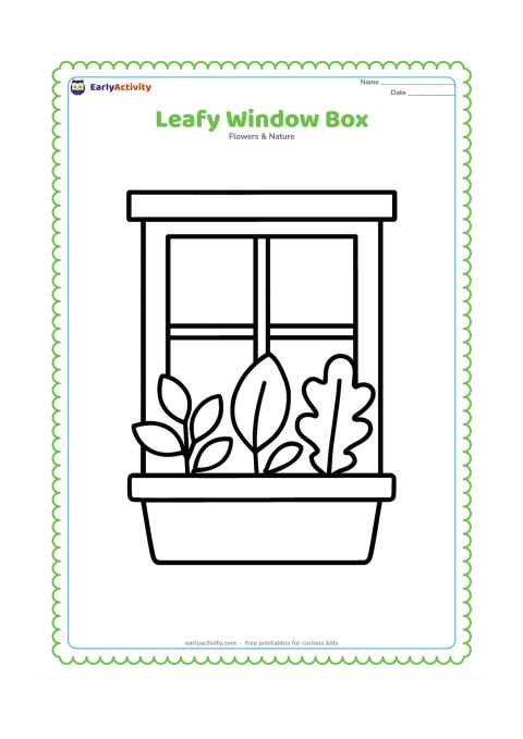 Colouring page: A simple window box outside a home contains three large leafy plants with different broad leaf shapes, with a plain window and sill behind.