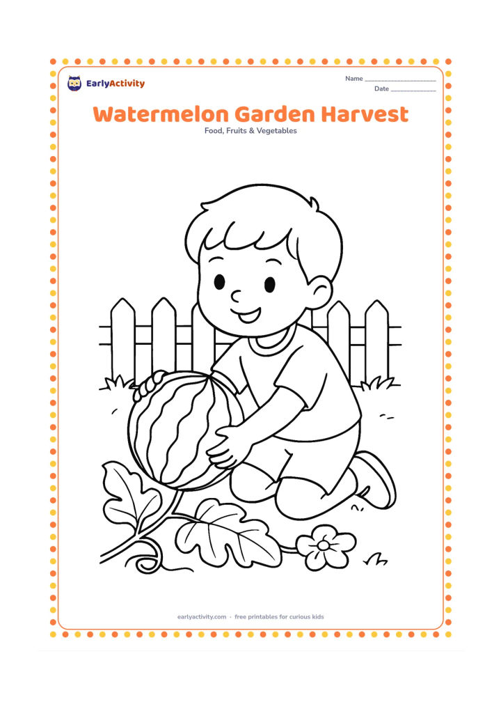 Colouring page: Draw a child kneeling in a garden and lifting a whole watermelon from a long vine. Show several broad leaves, one flower and a simple garden fence behind.