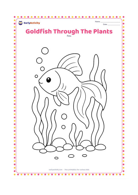 Colouring page: Draw a goldfish weaving between three aquarium plants, with its body angled upward and its tail curling behind it. Add rounded gravel, bubbles and a few visible gill lines.