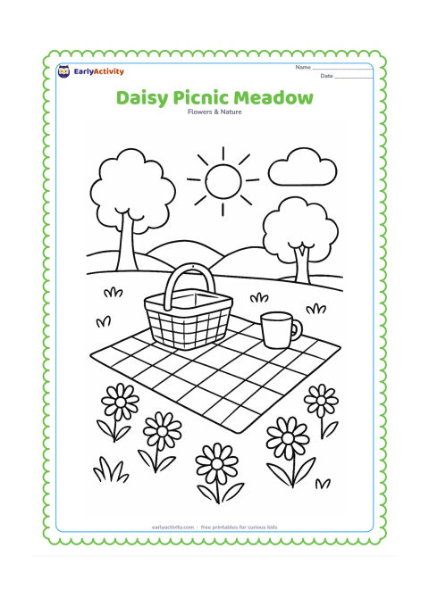 Colouring page: Draw a picnic blanket surrounded by daisies in a sunny meadow, with a basket, a cup, two trees and distant hills. Place several flowers in the foreground around the blanket.