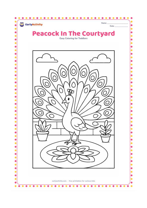 Colouring page: Draw an Indian peacock standing with its tail fully fanned, showing large eye-shaped feather sections and a small crest. Place it in a courtyard with a low wall, two potted plants and a…