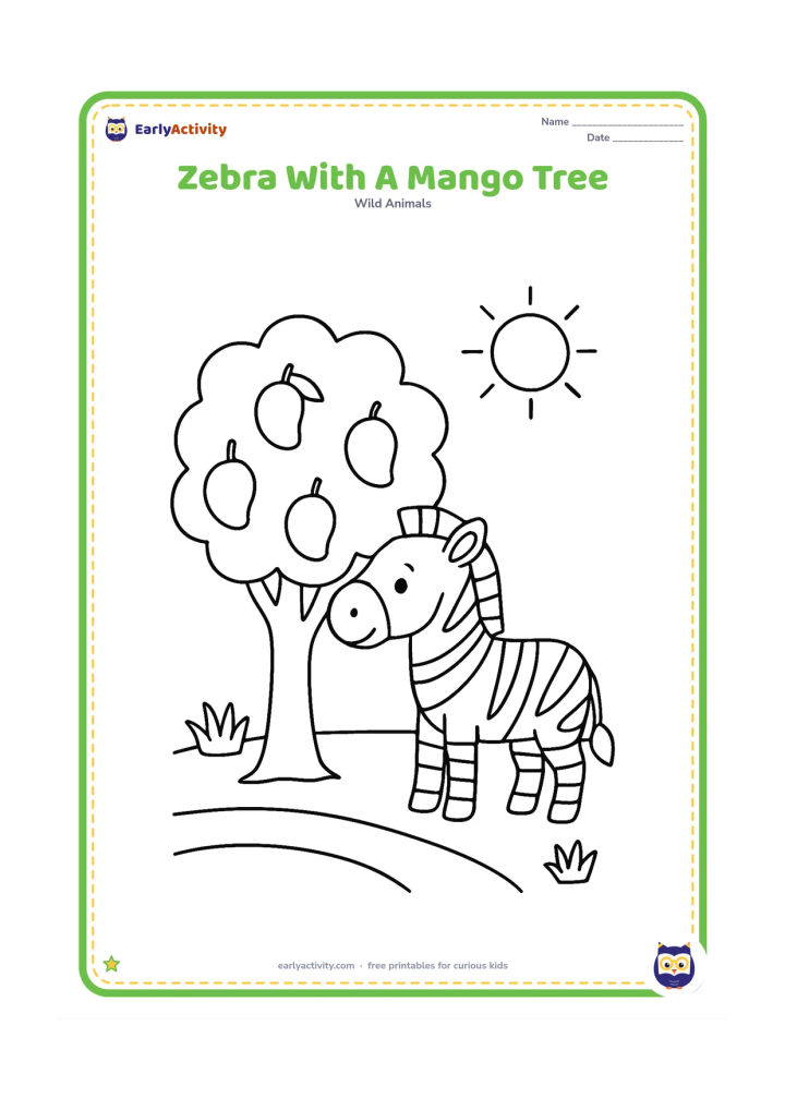 Colouring page: Draw one zebra standing beside a leafy mango tree in a sunny grassy area, with several round mangoes hanging from the branches. Include a low earthen path and two grass clumps.