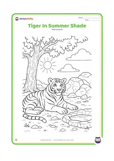 Colouring page: A tiger rests beside a rocky outcrop under a leafy tree during a hot summer day. Include textured bark, broad shade shapes, dry ground, scattered stones, and a small water bowl-like…