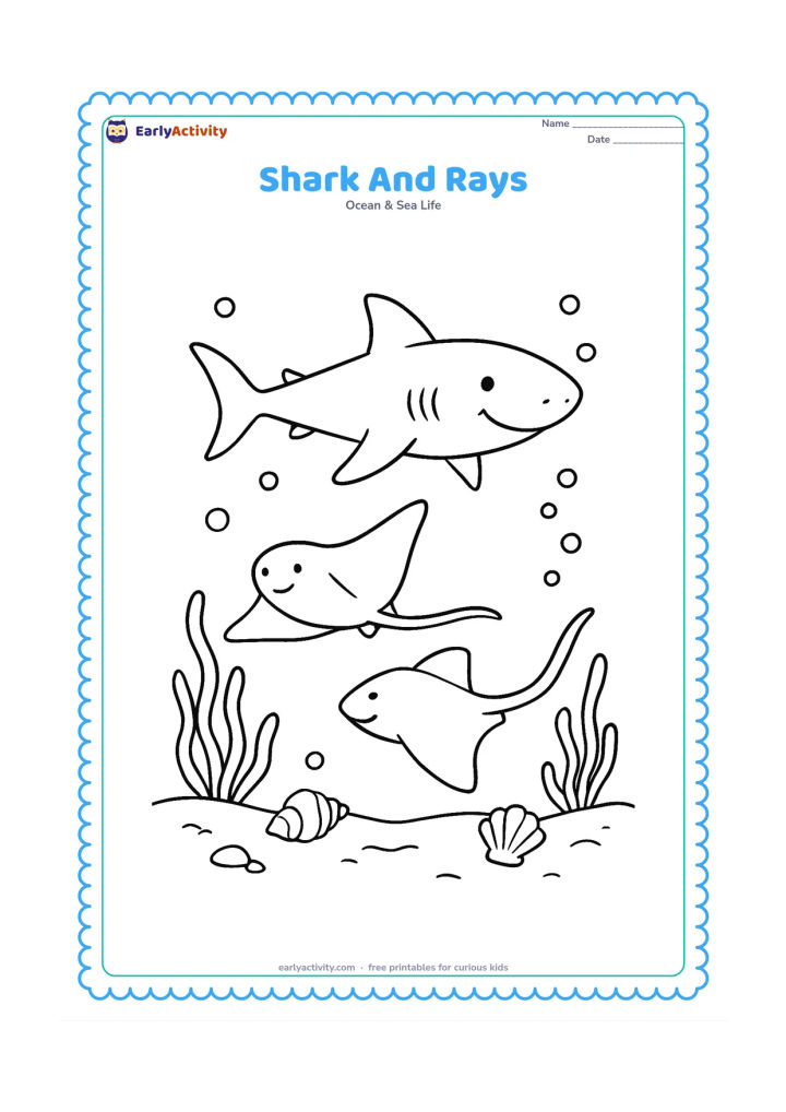 Colouring page: A friendly shark glides above a sandy seabed while two rays move below it, with shells, seaweed and bubbles completing the underwater scene. Arrange the animals at different heights.