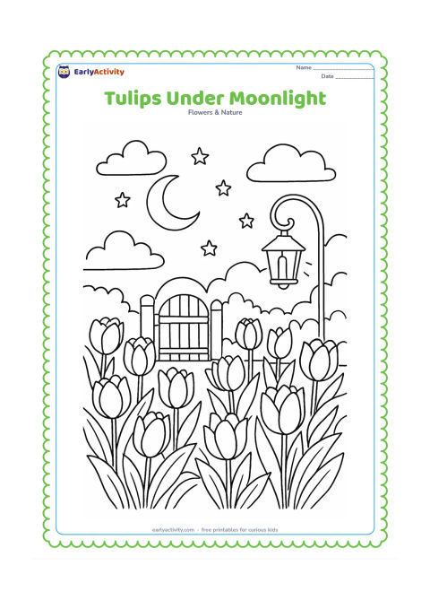 Colouring page: Draw a quiet tulip garden at night with rows of tulips, a crescent moon, stars, a garden gate, a lantern and soft clouds. Include detailed leaves and several differently shaped blossoms.