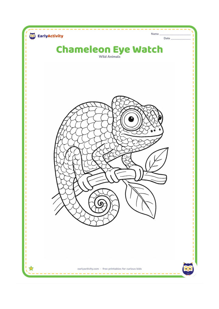Colouring page: A detailed chameleon perches on a branch while its two bulging eyes look in different directions. Add textured eyelids, overlapping scales, curled toes, a spiral tail and leaves behind it.