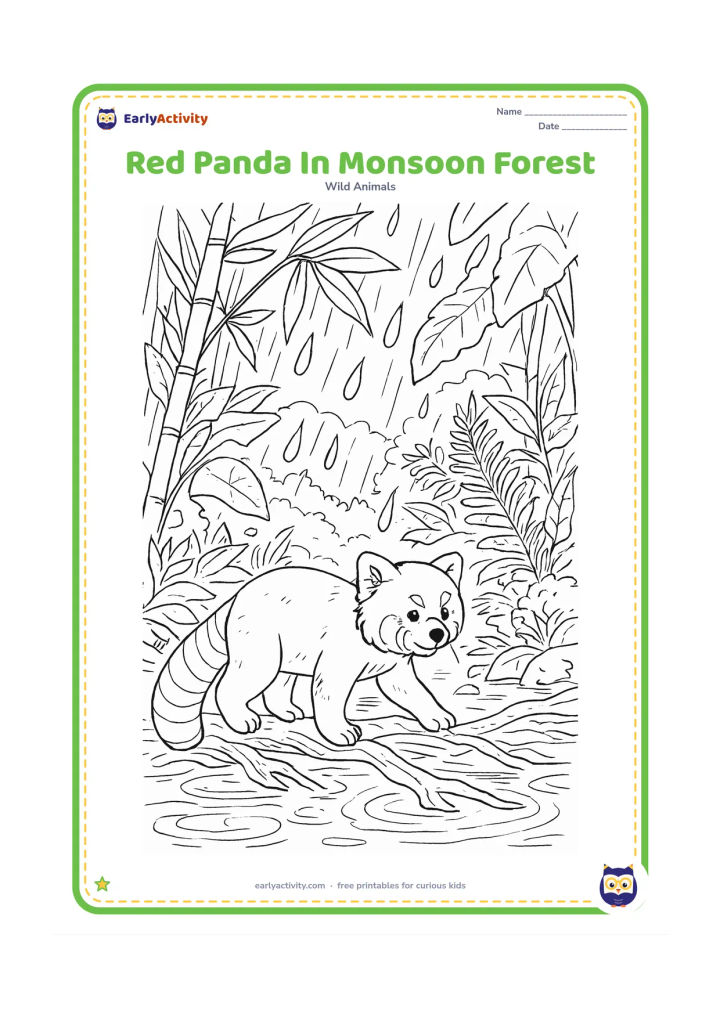 Colouring page: Draw a red panda crossing wet roots beside a forest stream during a gentle monsoon shower. Include layered tropical-Himalayan foliage, bamboo, ferns, ripples in the water and large…