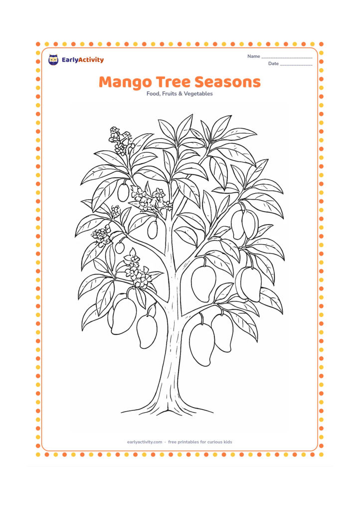Colouring page: Create one wide mango tree scene showing fresh blossoms, small green mangoes and ripe mangoes on different branches, with changing foliage across the canopy.