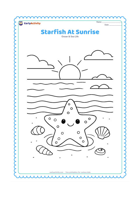 Colouring page: Draw a starfish in a shallow coastal pool at sunrise, with a low horizon, calm wave lines, shells and distant simple rocks.