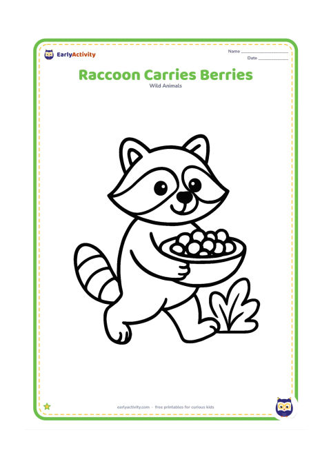 Colouring page: Draw a raccoon walking while holding a large shallow bowl of berries in both front paws, with its ringed tail trailing behind. Add one bush with a few large leaves.