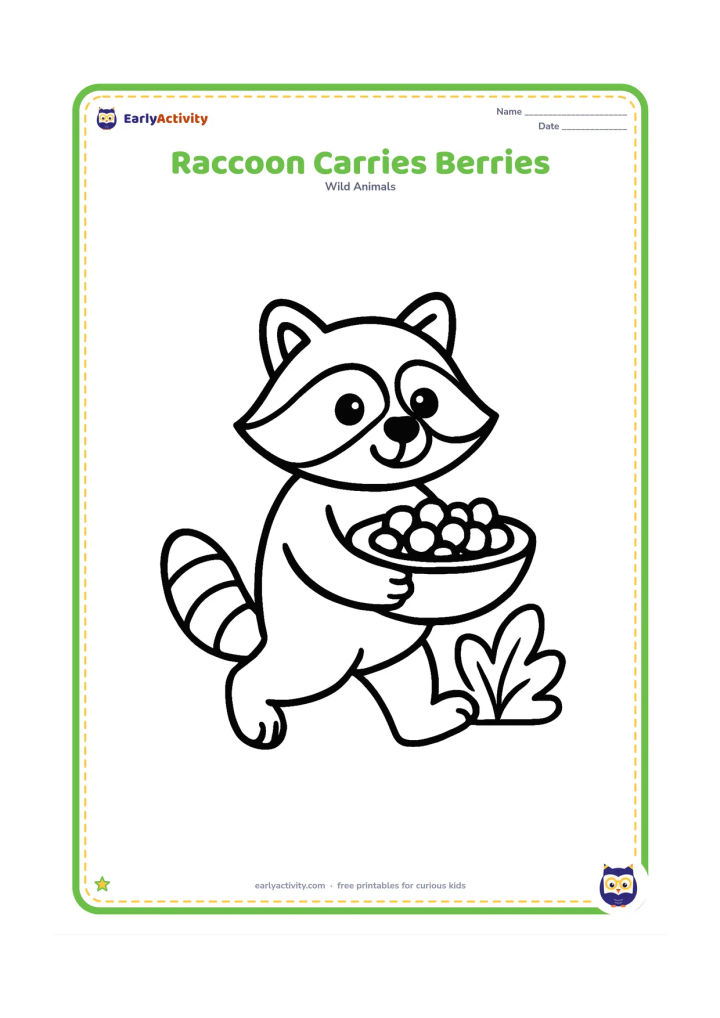 Colouring page: Draw a raccoon walking while holding a large shallow bowl of berries in both front paws, with its ringed tail trailing behind. Add one bush with a few large leaves.