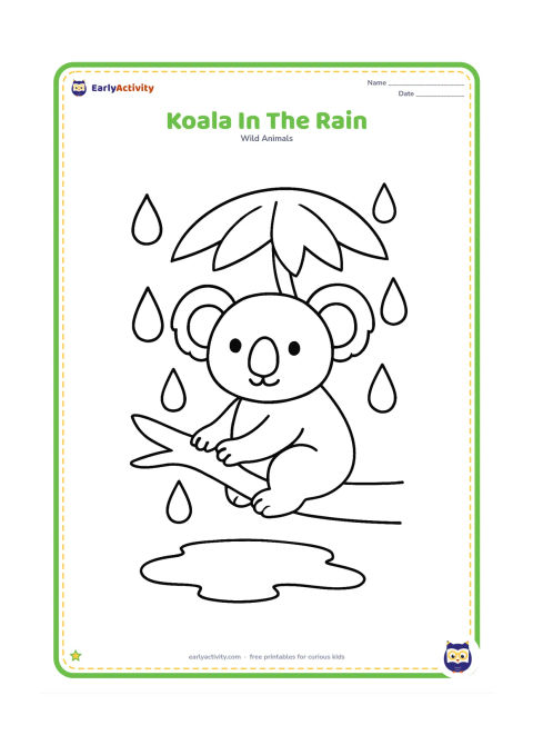 Colouring page: Draw a koala sitting safely on a low branch beneath a simple leafy canopy. Add large raindrops, a puddle below and a small umbrella-shaped canopy of leaves.