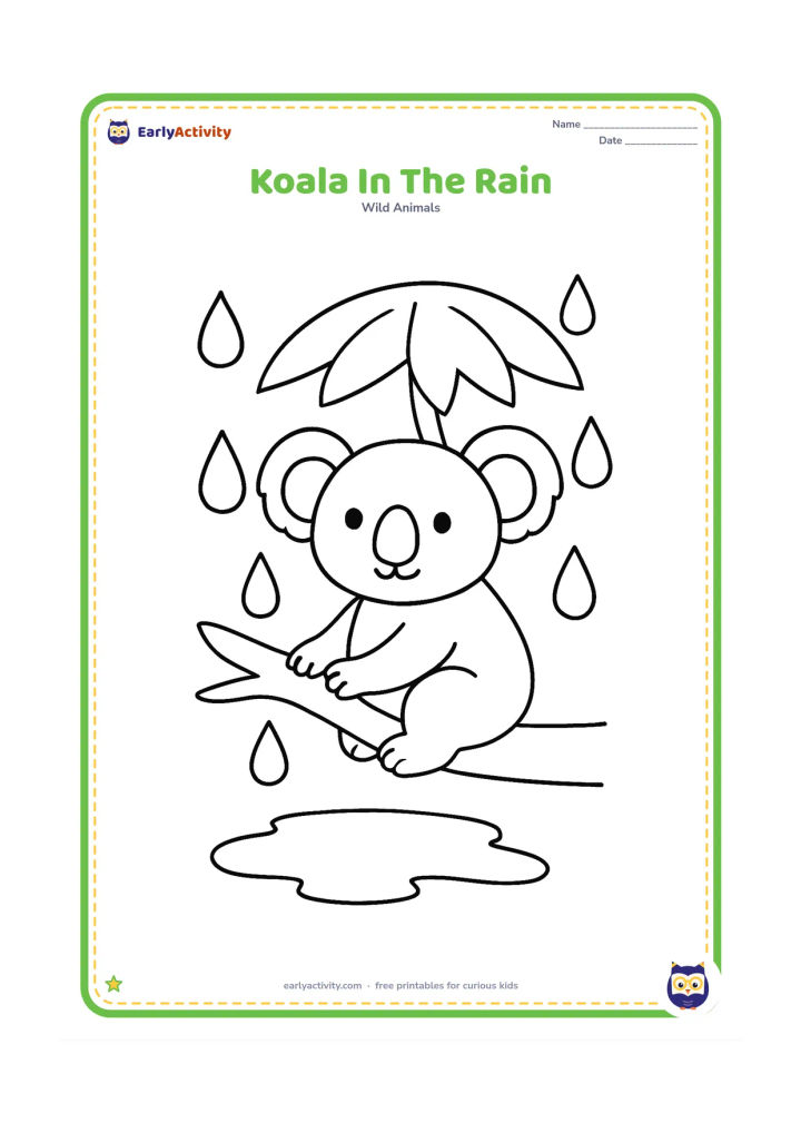 Colouring page: Draw a koala sitting safely on a low branch beneath a simple leafy canopy. Add large raindrops, a puddle below and a small umbrella-shaped canopy of leaves.