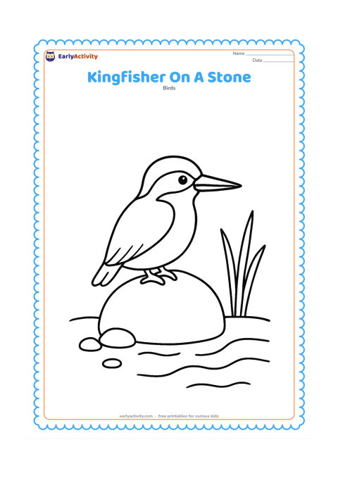 Colouring page: A kingfisher stands proudly on a large rounded stone at the edge of a stream, looking down toward the water. Add three simple pebbles and two tall reeds.