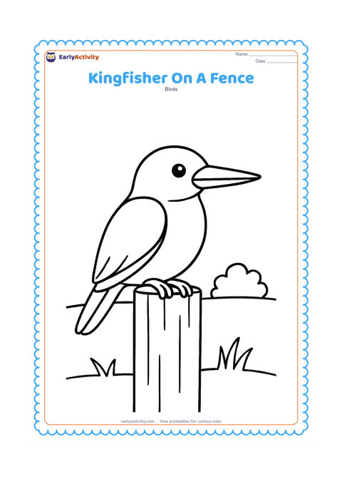 Colouring page: A white-throated kingfisher perches on one wide wooden fence post, shown from the side with its pointed beak and white throat visible. Include a simple grassy ground line and one distant…