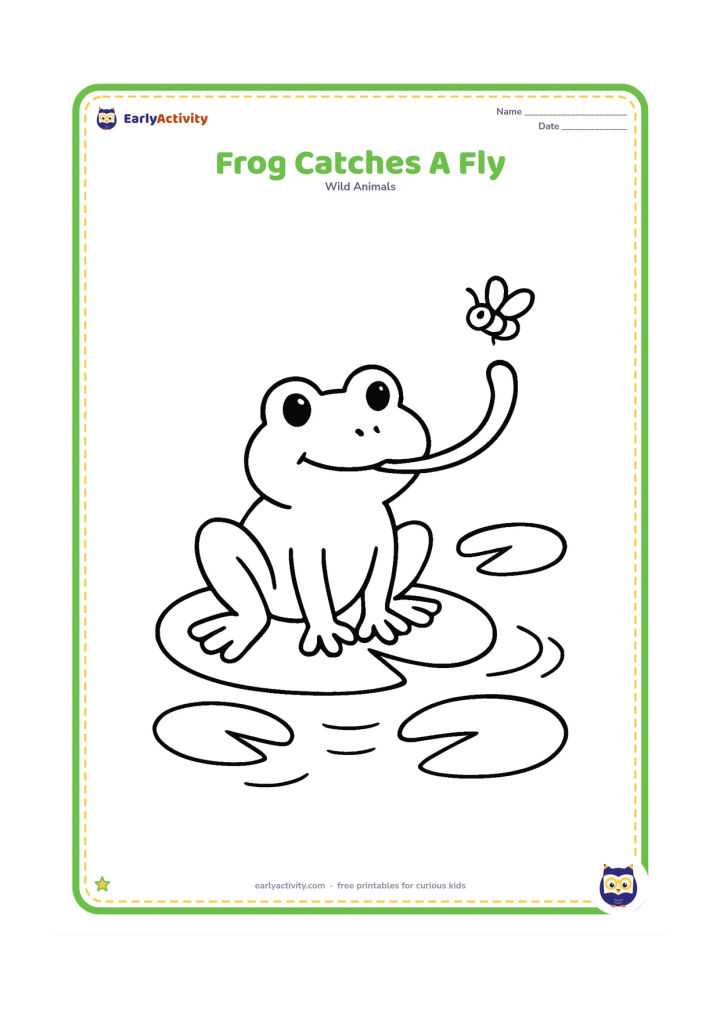 Colouring page: Draw a frog sitting on a lily pad with its long tongue reaching toward one small flying insect above the water. Add a few broad pond leaves and gentle ripples.