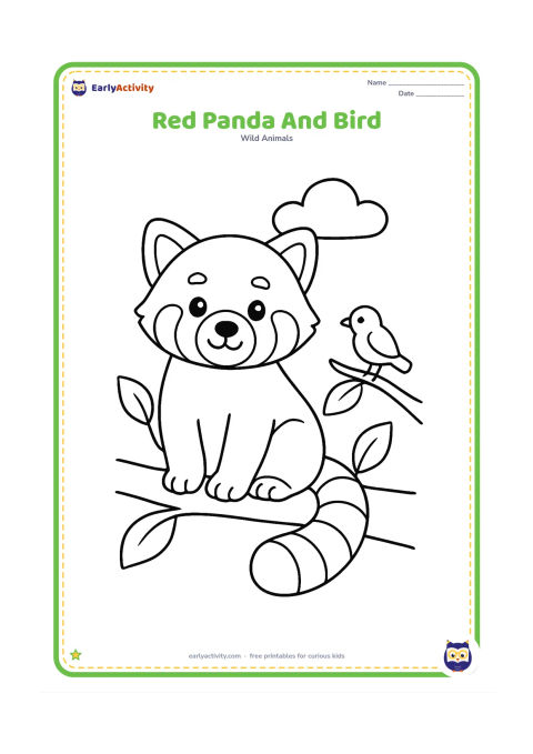 Colouring page: Draw a friendly red panda sitting on a low branch while a small songbird perches on a nearby twig. Include three large leaves and a simple rounded cloud shape in the background.