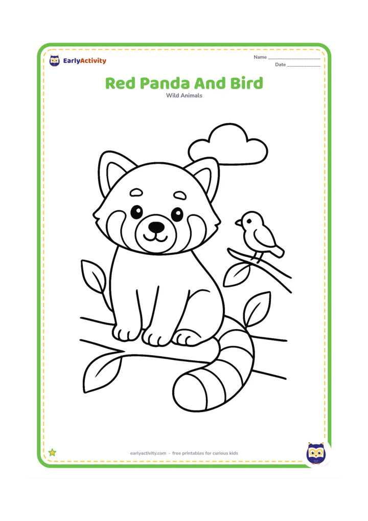 Colouring page: Draw a friendly red panda sitting on a low branch while a small songbird perches on a nearby twig. Include three large leaves and a simple rounded cloud shape in the background.