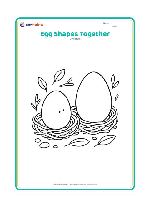 Colouring page: Show one round egg and one longer oval egg side by side in two small natural nests. Surround them with a few matching leaves, twigs, and pebbles, with no labels.