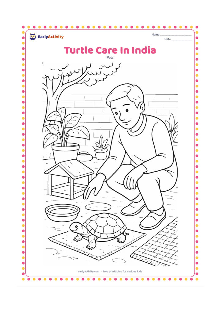 Colouring page: An adult carefully checks a pet turtle's clean outdoor habitat in an Indian home courtyard, with a shaded enclosure, water basin, basking stone, clay pots, leafy plants and a woven mat…