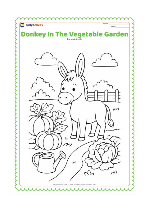 Colouring page: A donkey stands between neat rows of large vegetables in a farm garden, with a watering can and a low fence nearby. Include broad leaves, round pumpkins and a simple garden path.