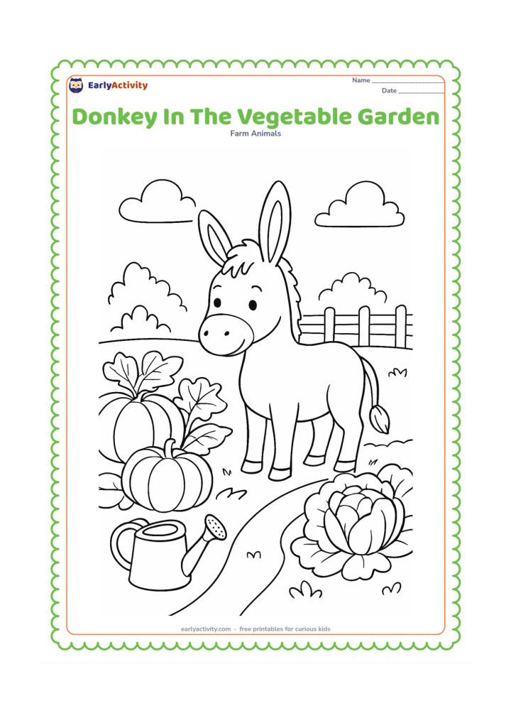 Colouring page: A donkey stands between neat rows of large vegetables in a farm garden, with a watering can and a low fence nearby. Include broad leaves, round pumpkins and a simple garden path.