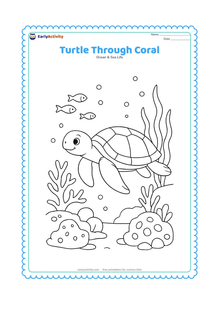 Colouring page: Draw a sea turtle swimming through a small coral reef, with branching coral, rounded coral shapes, sea grass, bubbles, and three small fish.