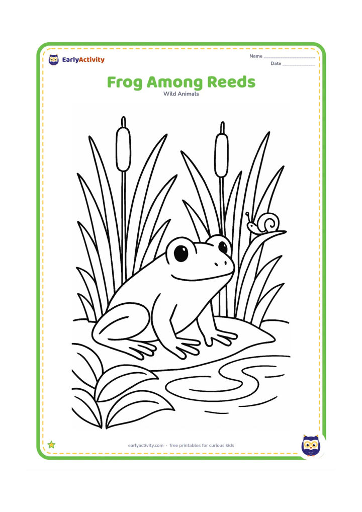 Colouring page: Draw a frog sitting low among tall reeds at the edge of a pond, with overlapping leaves, water ripples and a small snail on a nearby stem. Show the frog in three-quarter view.