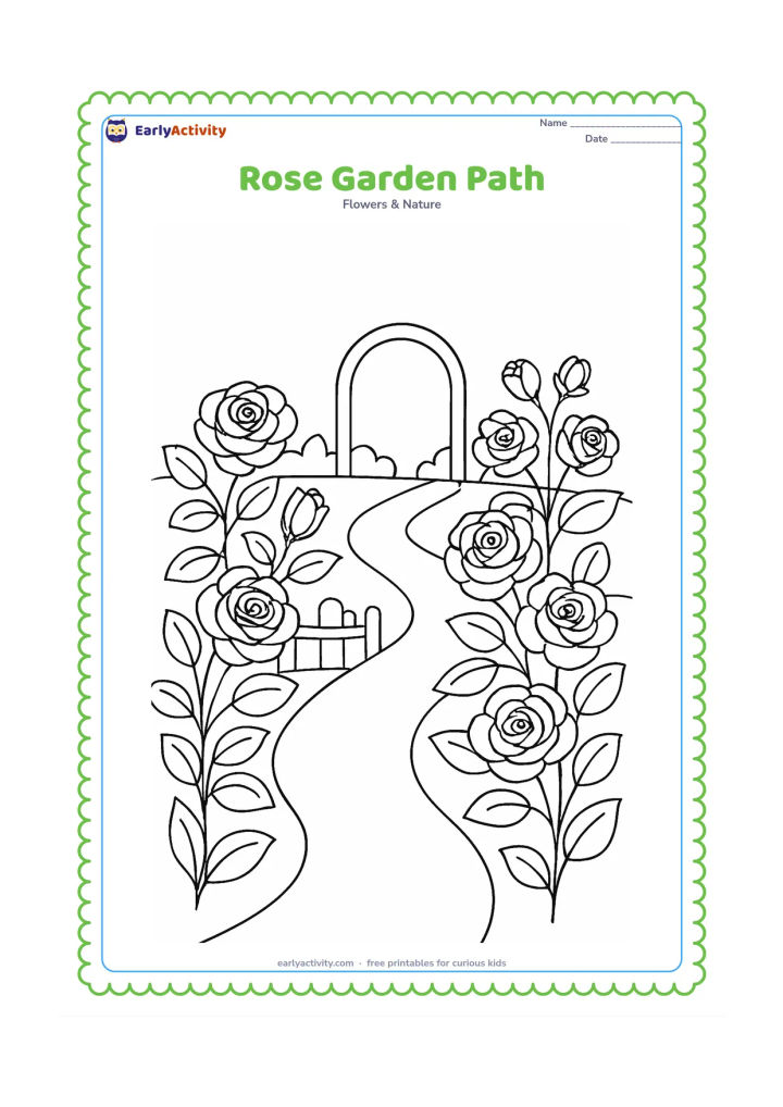 Colouring page: Draw several rose bushes with open blooms on both sides of a winding garden path leading toward a simple arched trellis. Add a low fence and a few large leaves.