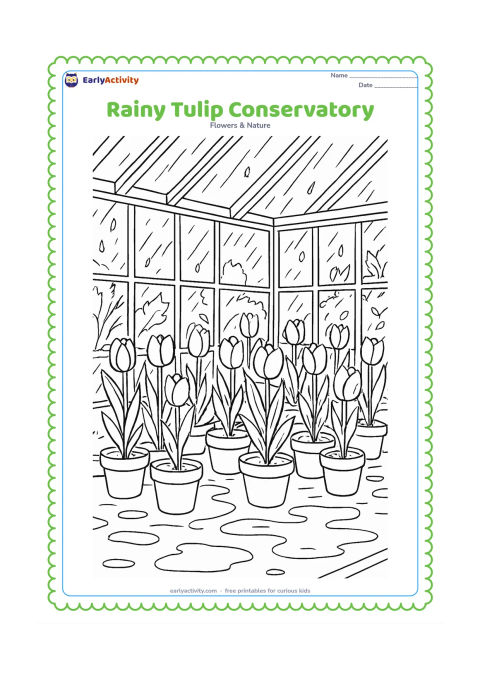 Colouring page: Draw rows of tulips inside a glass conservatory during rain, with large window panes, roof beams, puddles outside and leaves seen through the glass. Include pots, soil and varied tulip…