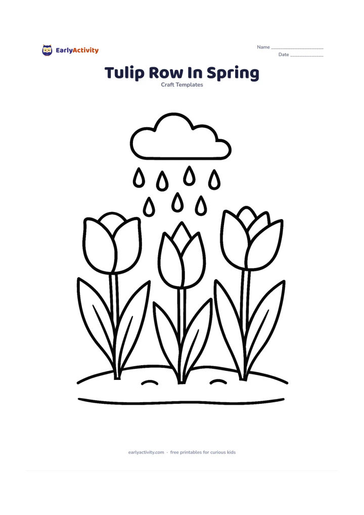 Worksheet: A row of three tulips with different cup-shaped blooms, rounded, pointed and gently open, growing from a shared garden bed. Include broad leaves, a few raindrops and a simple spring cloud.