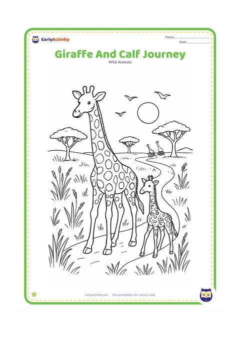 Colouring page: A tall giraffe leads a calf along a winding path through tall grass. Add acacia trees, seed heads, distant giraffes, birds and a warm sun low over the horizon.