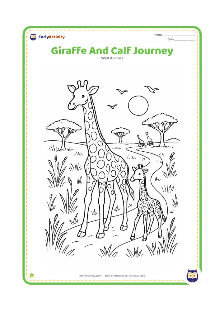 Colouring page: A tall giraffe leads a calf along a winding path through tall grass. Add acacia trees, seed heads, distant giraffes, birds and a warm sun low over the horizon.
