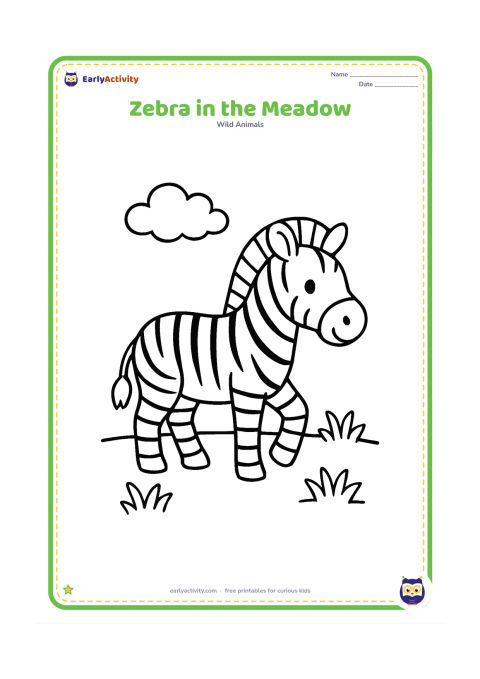 Colouring page: A zebra walks across a simple grassy meadow with its head turned slightly toward the viewer. Add three rounded grass clumps and one fluffy cloud.