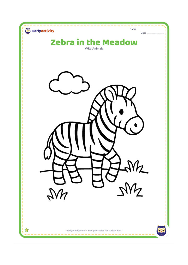 Colouring page: A zebra walks across a simple grassy meadow with its head turned slightly toward the viewer. Add three rounded grass clumps and one fluffy cloud.