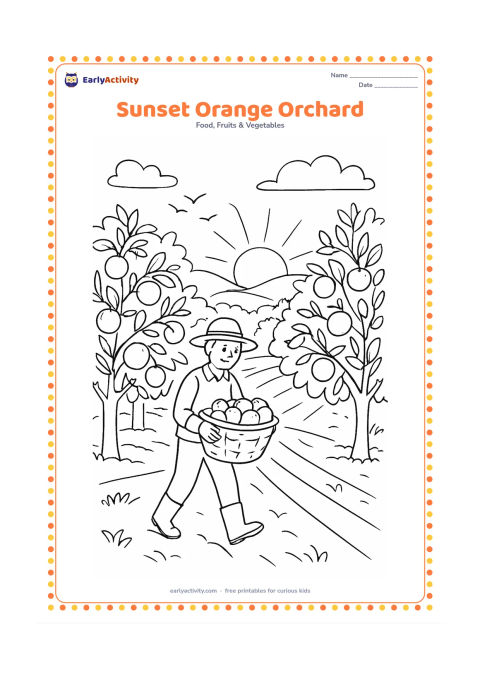 Colouring page: Draw an orange orchard at sunset with rows of fruit trees, a farmer carrying a full basket and birds in the sky. Show long shadows, a low sun and distant hills, with no text in the…
