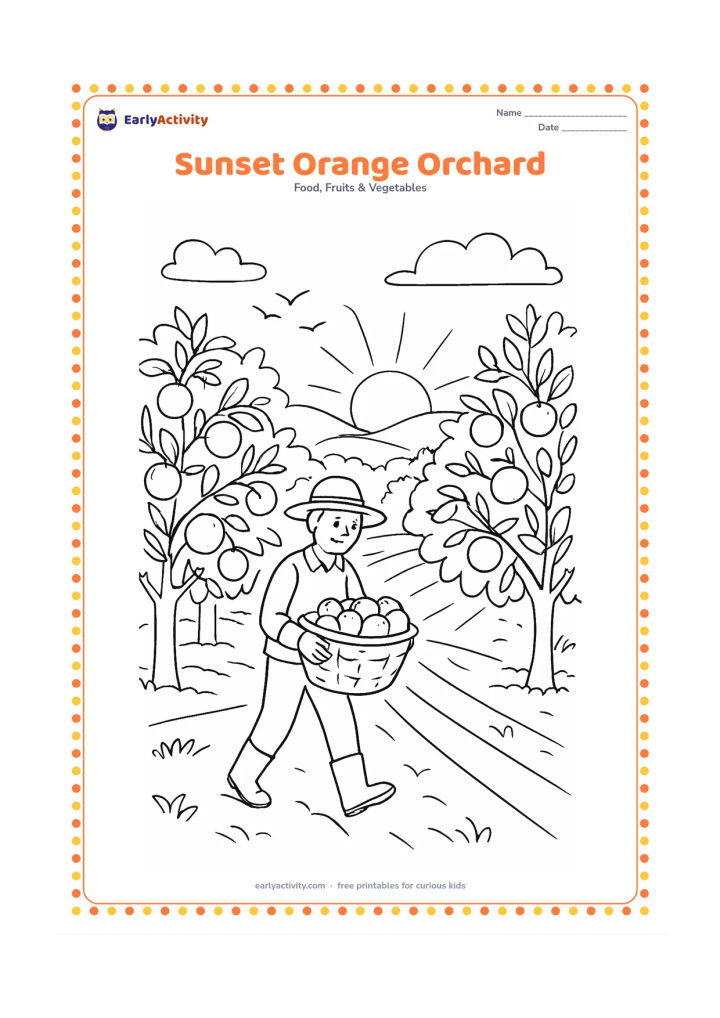 Colouring page: Draw an orange orchard at sunset with rows of fruit trees, a farmer carrying a full basket and birds in the sky. Show long shadows, a low sun and distant hills, with no text in the…